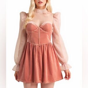 New Puff Sleeve Velvet & Sheer Dress